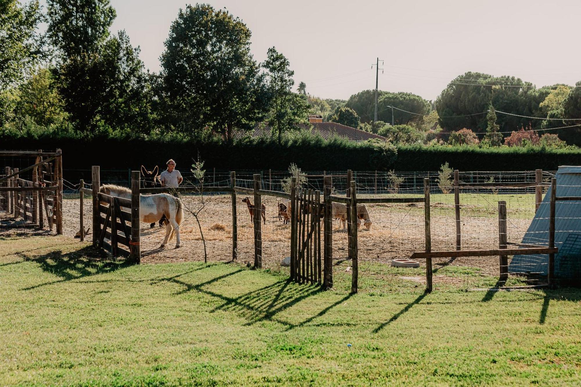 Country Club - Sto Estevao ベナベンテ エクステリア 写真